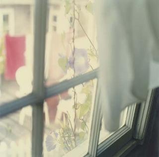 Jack Pierson - Morning Glory, 1995