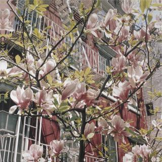 Jack Pierson - New York In Spring