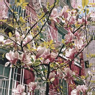 Jack Pierson - New York In Spring