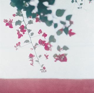 Jack Pierson - Owom4L