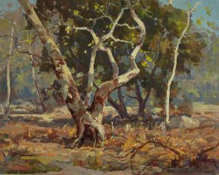 Jack Wilkinson Smith - Sycamores near the Arroyo 16 x 20in
