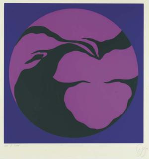 Jack Youngerman - Youngerman Images