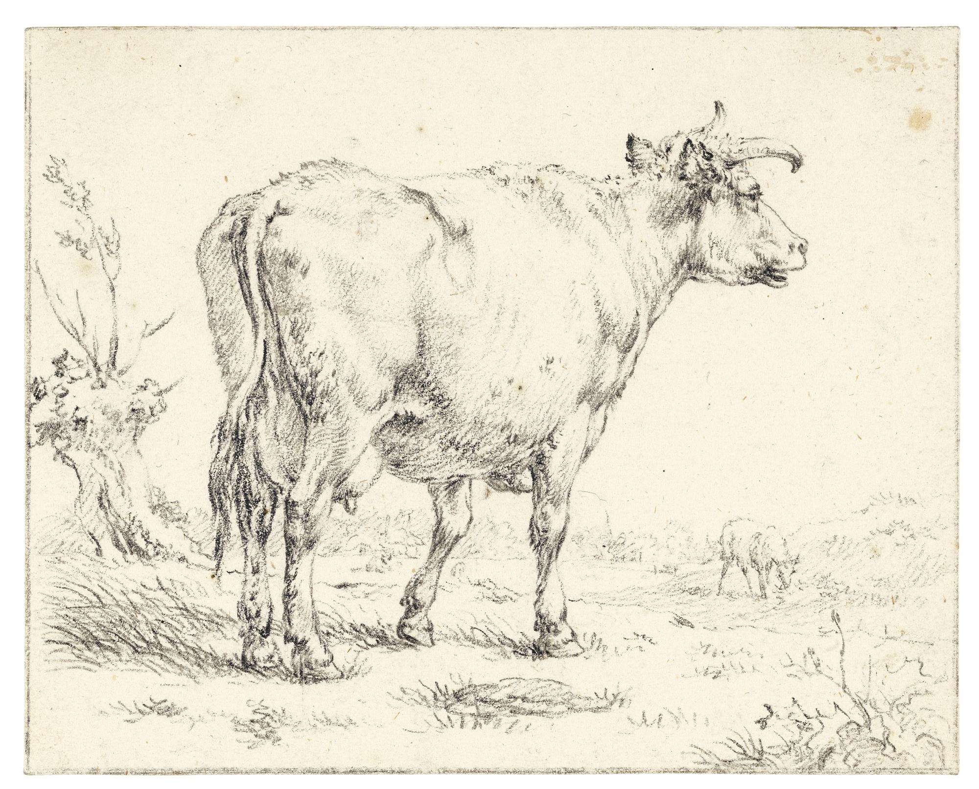 Jacob Cats - A Cow In A Field, Facing Right