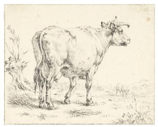 Jacob Cats - A Cow In A Field, Facing Right