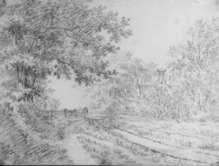 Jacob Cats - A wooded road with a fence by a house