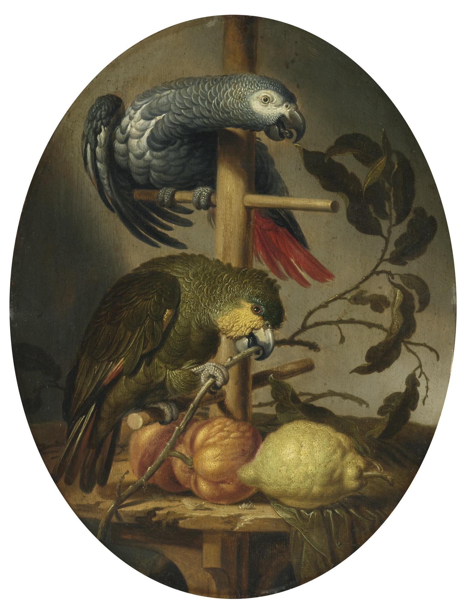 Jacob Fransz. Van Der Merck - An African Grey And An Orange Winged Amazon Parrot On A Perch With Citrus Fruit 