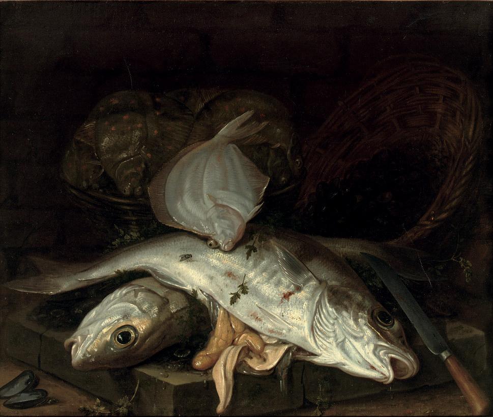 Jacob Gillig - Various fish on a stone ledge