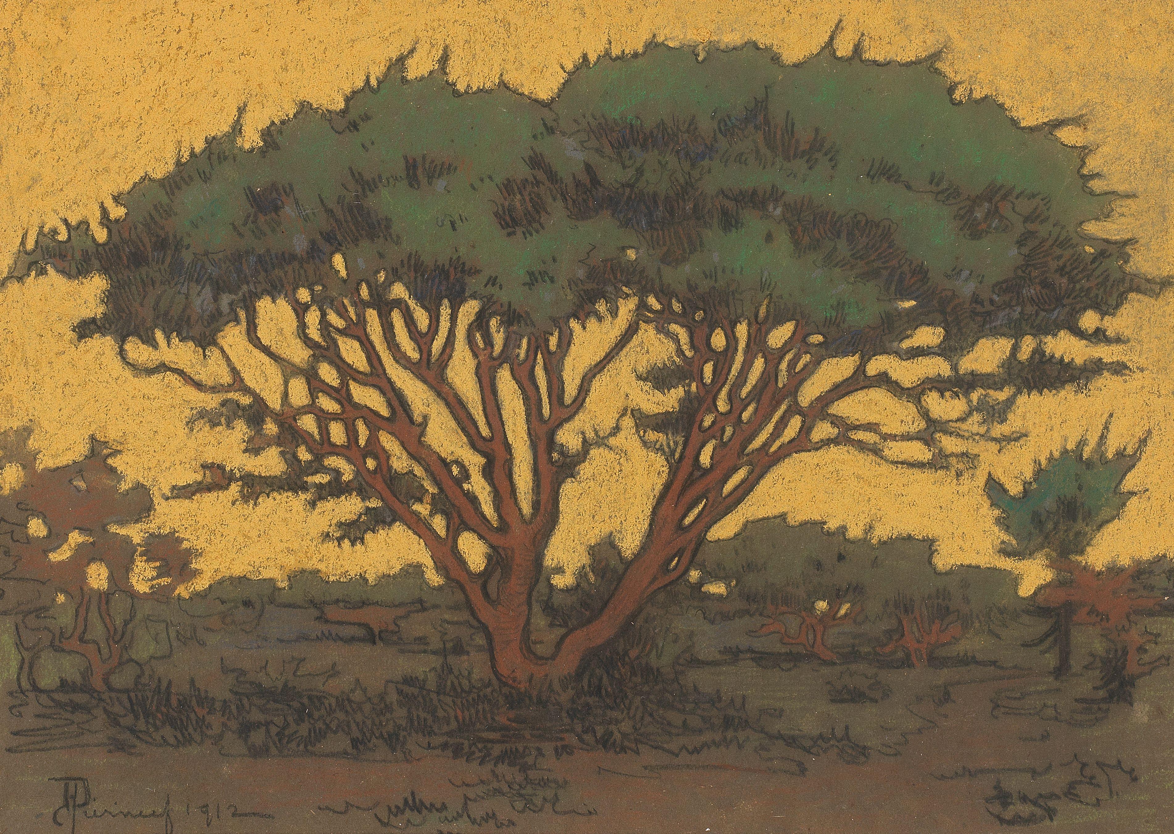 Jacob Hendrik Pierneef - A Camel Thorn Tree At Dusk (Framed)