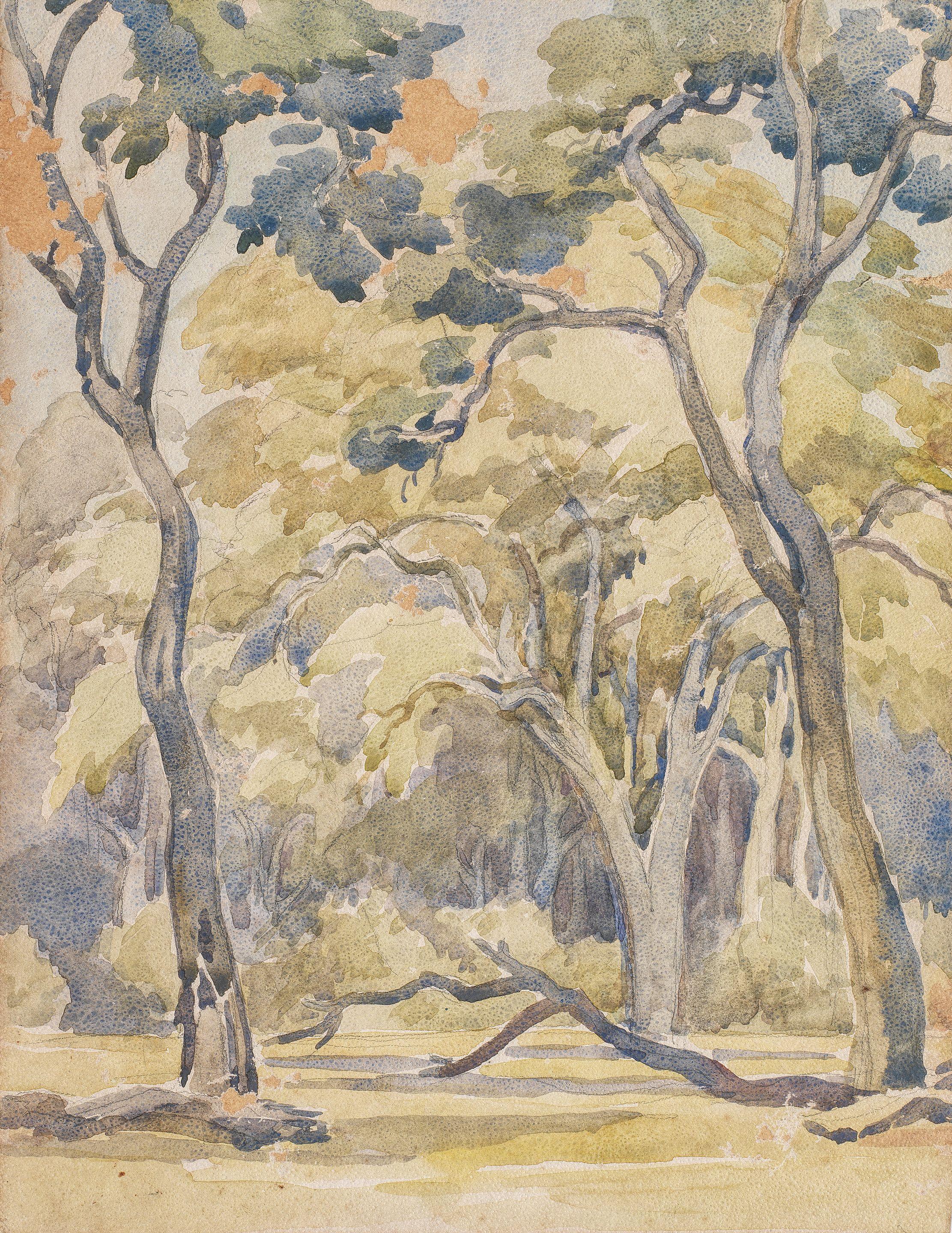 Jacob Hendrik Pierneef - Boomstudie