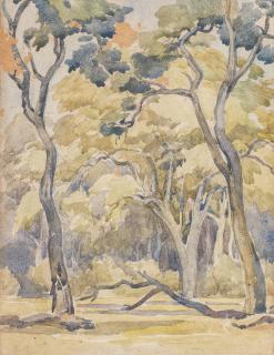 Jacob Hendrik Pierneef - Boomstudie