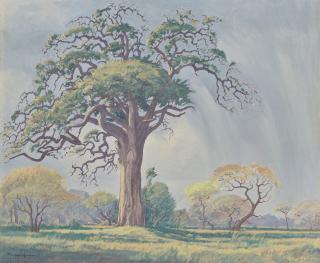 Jacob Hendrik Pierneef - Hardekoolboom in a Bushveld Landscape