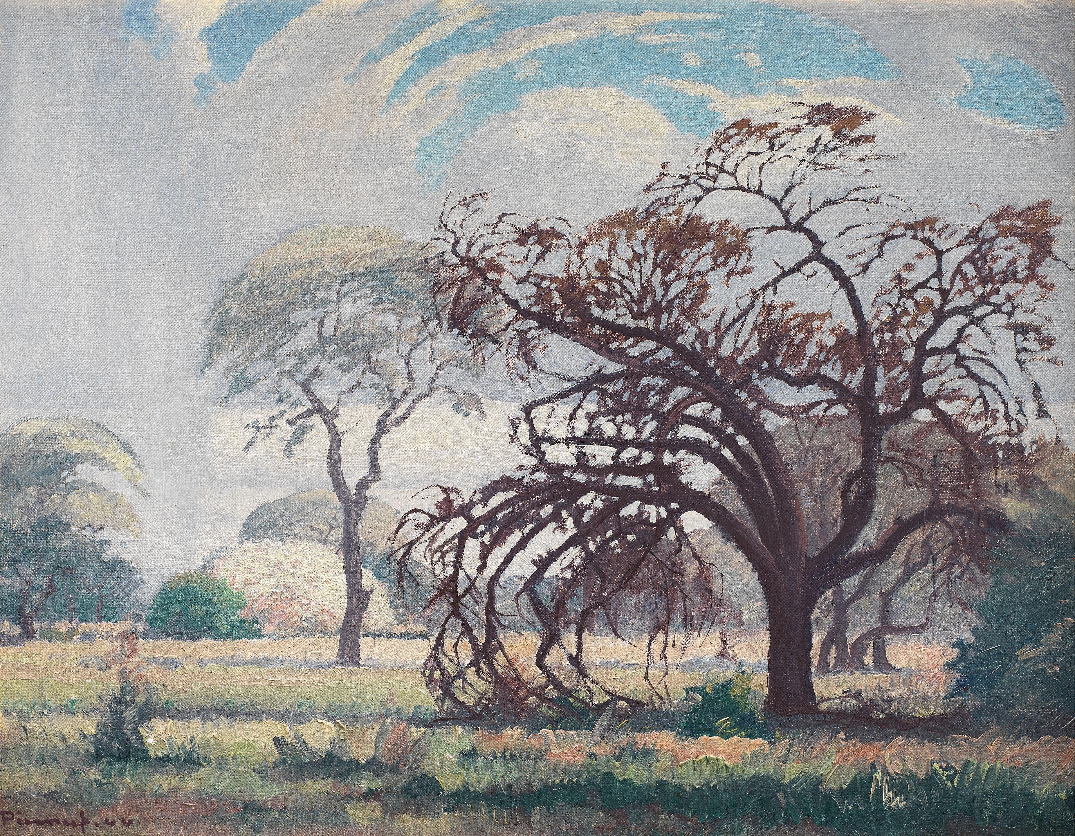 Jacob Hendrik Pierneef - Landscape