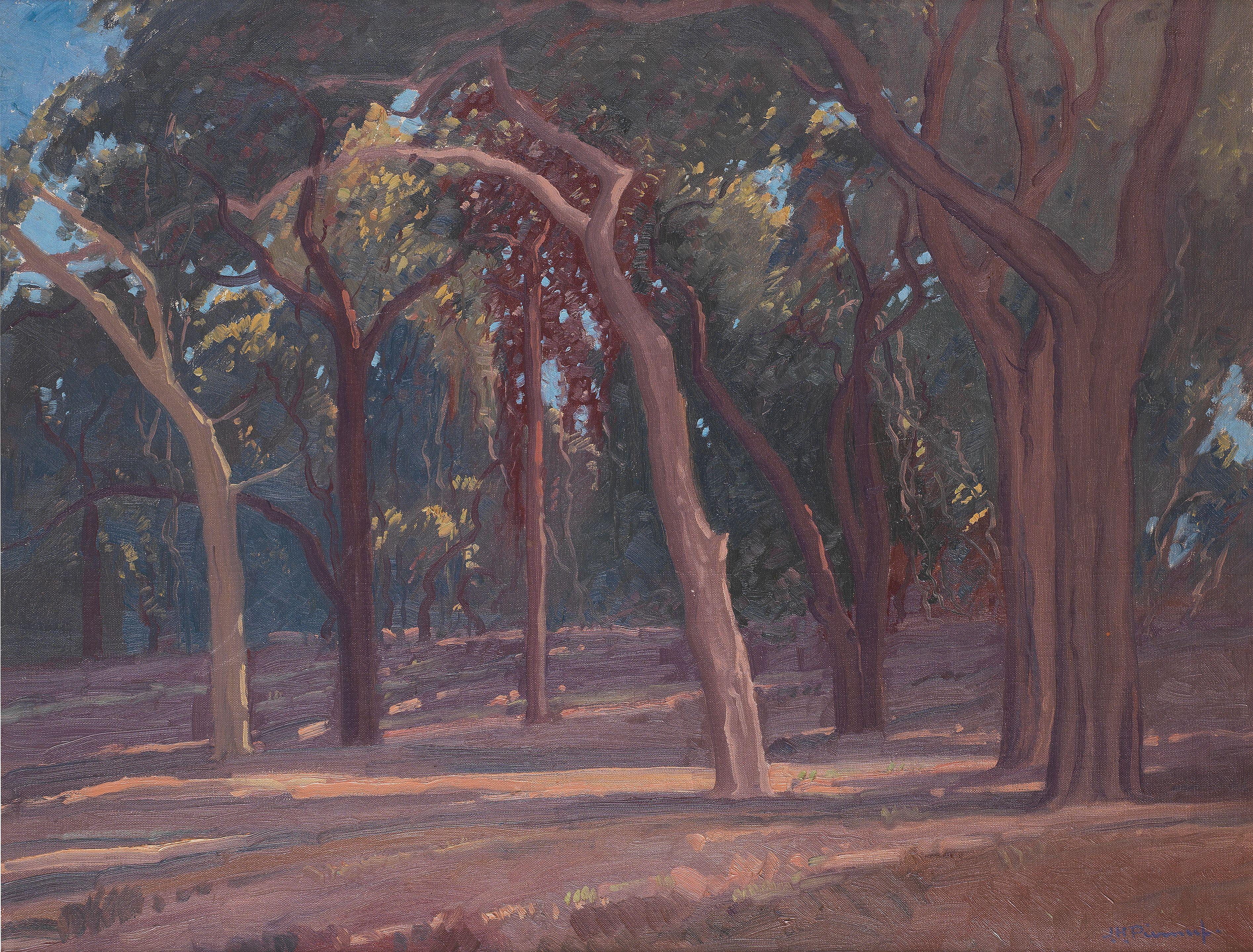 Jacob Hendrik Pierneef - Sunlight Through the Trees