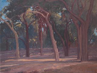 Jacob Hendrik Pierneef - Sunlight Through the Trees