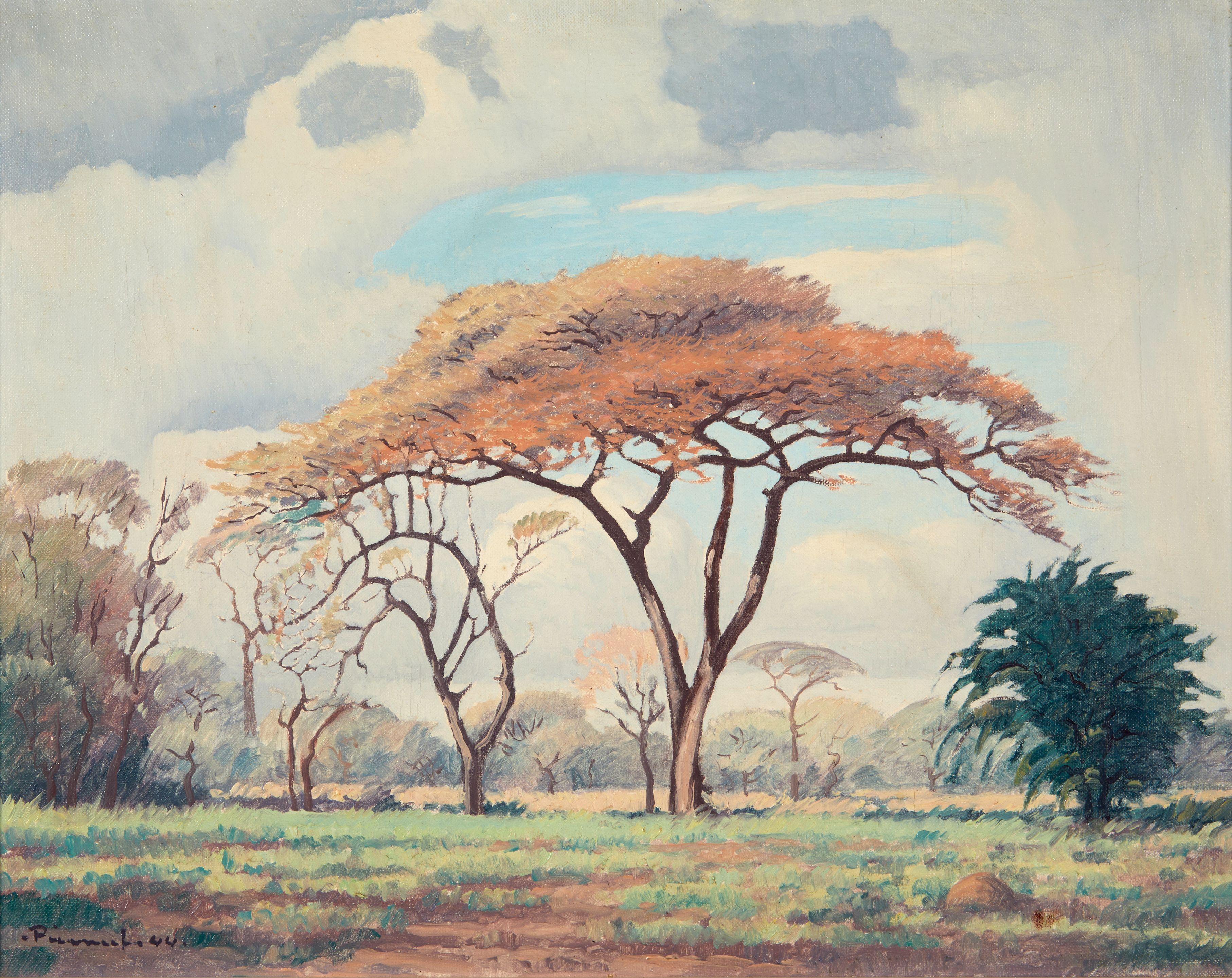 Jacob Hendrik Pierneef - The Doringbome - Pietersburg, framed 57.3 x 67.3 x 3.0 cm. (22 1/2 x 26 1/2 x 1 3/16 in.)