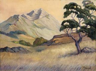Jacob Hendrik Pierneef - Transvaal Landscape