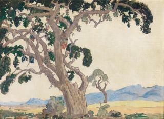 Jacob Hendrik Pierneef - Wilde Vye boom, near Louis Trichardt