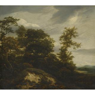 Jacob Isaacksz. van Ruisdael - A Wooded Dune Landscape