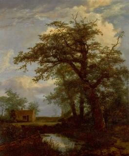 Jacob Isaacksz. van Ruisdael - A wooded landscape with an oak tree, pond and houses beyond