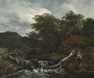 Jacob Isaacksz. Van Ruisdael - Waterfall In A Hilly Wooded Landscape