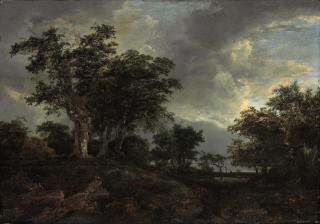 Jacob Isaacsz. van Ruisdael - A wooded landscape with a pond