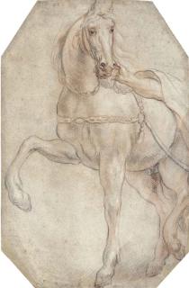 Jacob Jordaens - A harnessed horse looking to the right