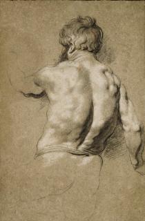 Jacob Jordaens - Study of a man seen from behind