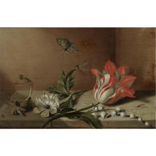 Jacob Marrel - A Still Life With A Tulip, Anemones, Lily-Of-The-Valley, A Caterpillar, A Butterfly And Other Insects On A Wooden Ledge