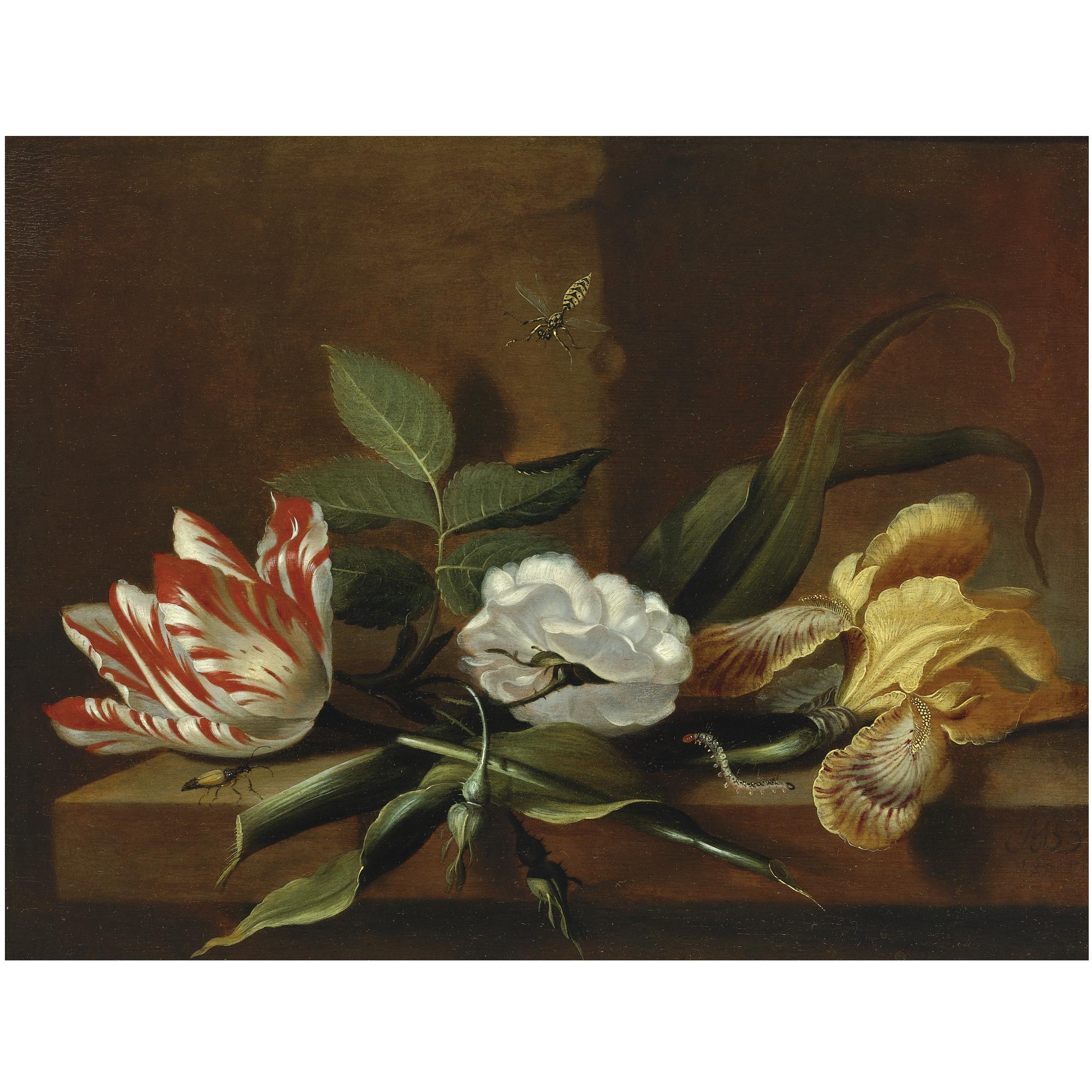 Jacob Marrel - Still Life With A Yellow Iris, A Parrot Tulip, A White Rose And Insects On A Wooden Table Ledge