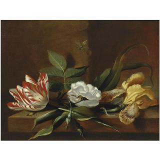 Jacob Marrel - Still Life With A Yellow Iris, A Parrot Tulip, A White Rose And Insects On A Wooden Table Ledge