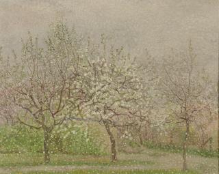 Jacob Nieweg - Blossoming Tree