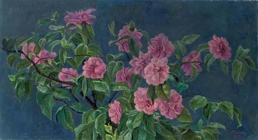 Jacob Nieweg - Flowers