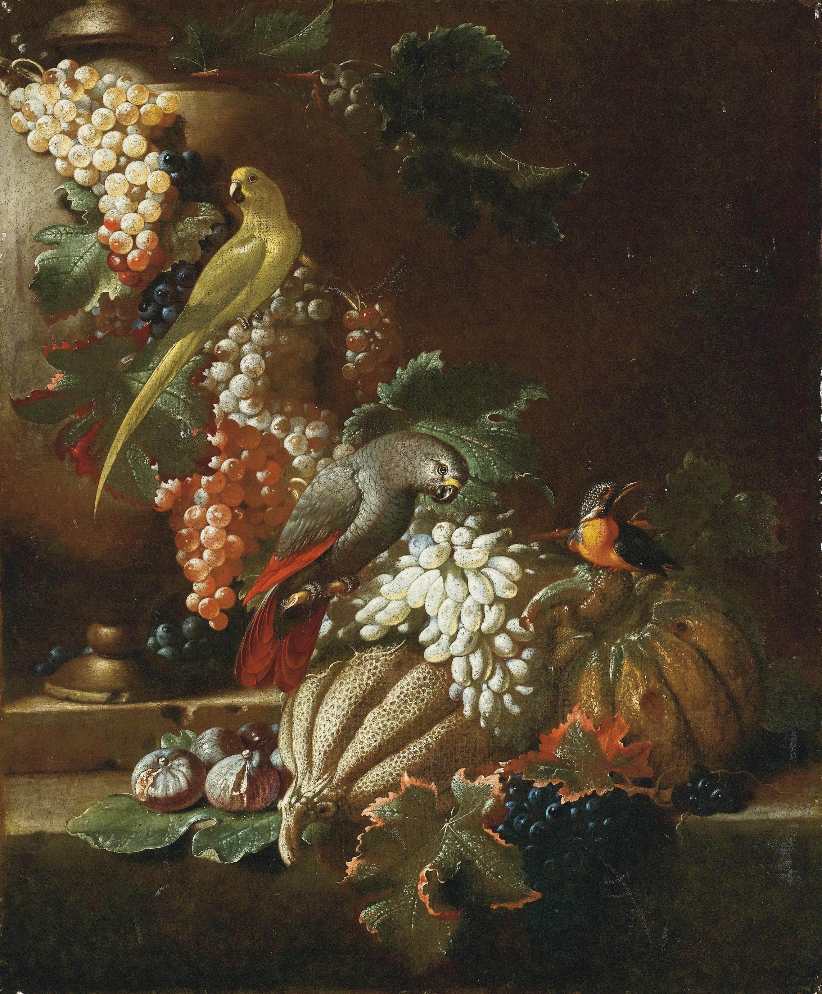 Jacob van de Kerkhoven - Tralci di vite con frutta e pappagalli