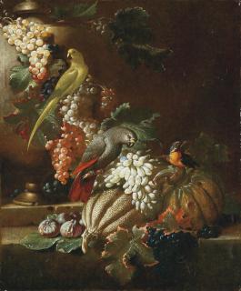 Jacob van de Kerkhoven - Tralci di vite con frutta e pappagalli