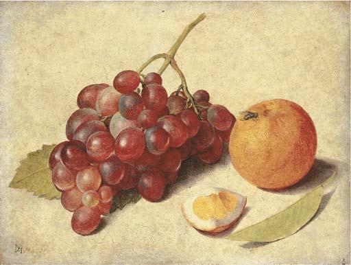 Jacob van Hulsdonck - A bunch of grapes on the vine, an orange segment and an orange, with a leaf and a fly