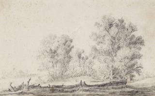 Jacob Van Mosscher - Study of a group of trees in a sloping landscape