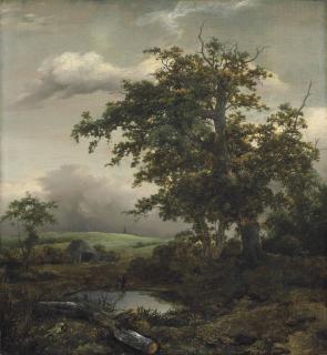 Jacob van Ruisdael - A wooded landscape with a man at rest by a pond near a hut, a windmill beyond