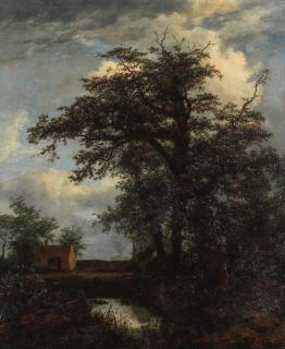 Jacob van Ruisdael - A wooded landscape with an oak tree, pond and houses beyond