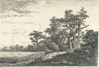 Jacob van Ruisdael - Das Kornfeld