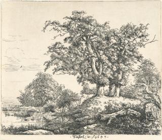 Jacob van Ruisdael - Die drei Eichen