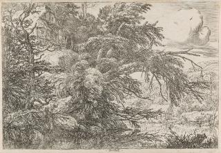 Jacob van Ruisdael - Die Hütte auf der Anhöhe.