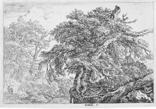 Jacob van Ruisdael - Die zwei Bauern mit ihrem Hund.