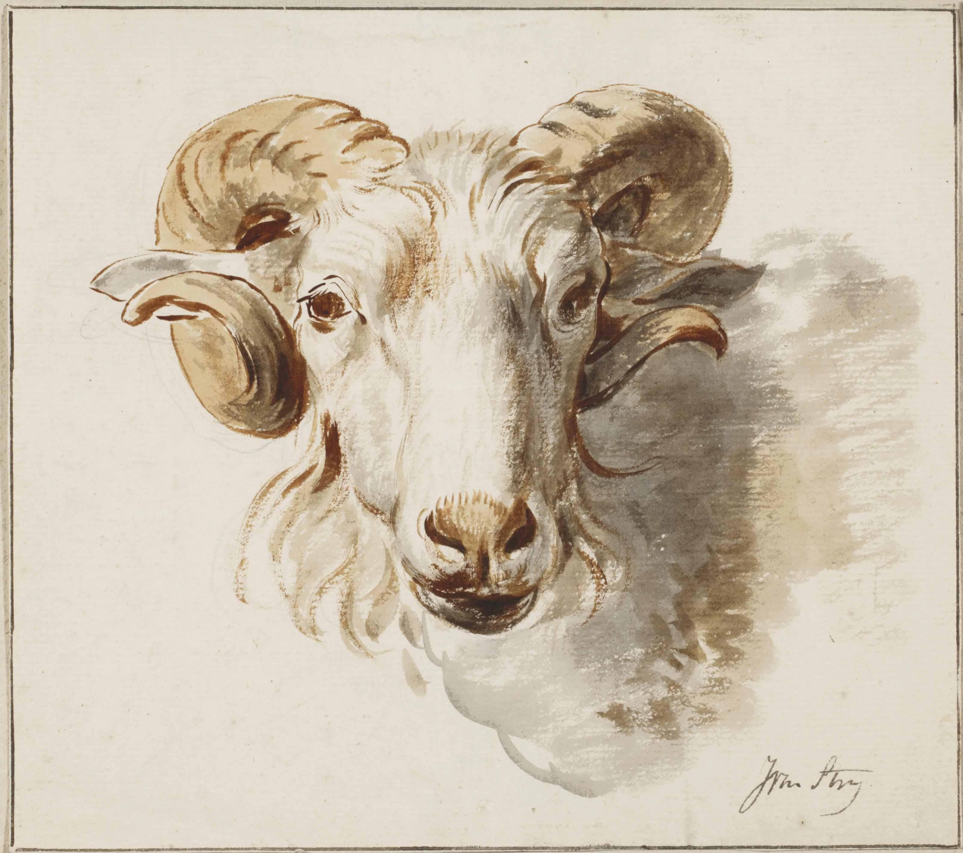 Jacob van Strij - The Head Of A Ram; And The Head Of A Sheep (Pl. 5)