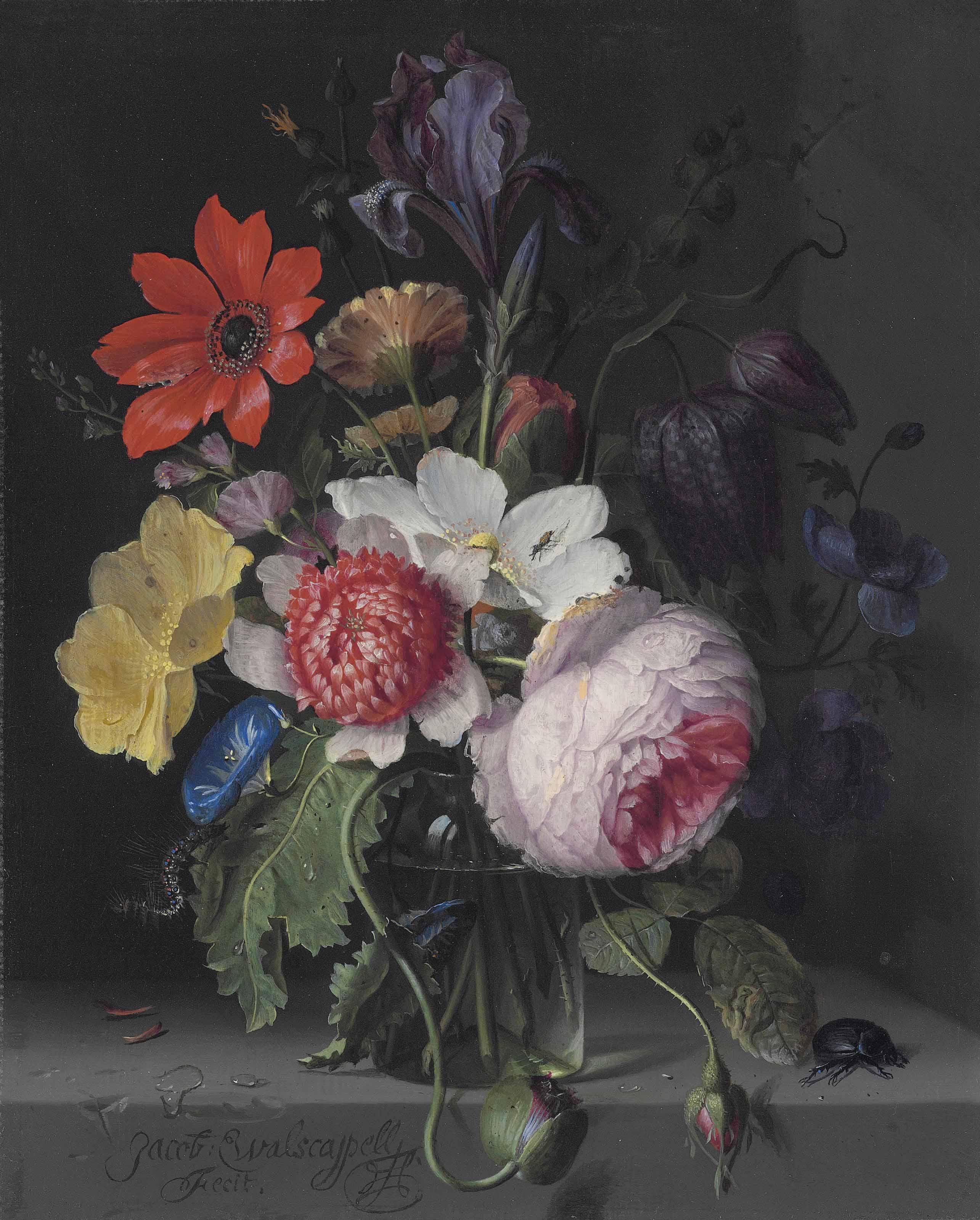 Jacob Van Walscapelle - A peony, an iris, a poppy, anemones, morning glory and other flowers, in a glass vase, with a caterpillar, a beetle and other insects, on a stone ledge