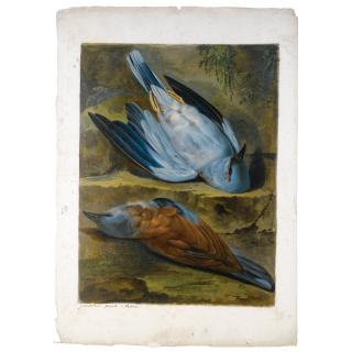 Jacob Xaver Vermoelen - Two Dead Rollers