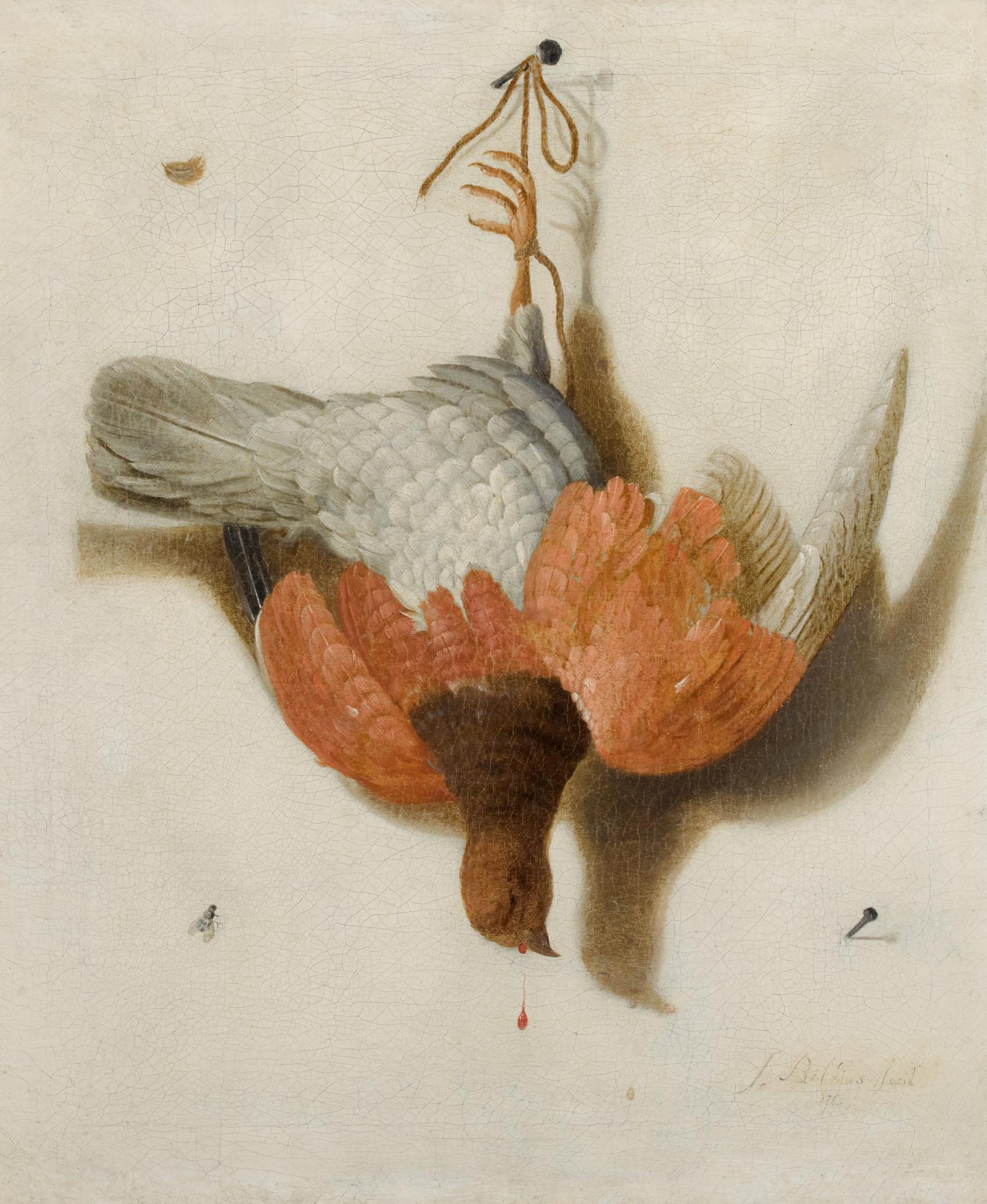 Jacobus Biltius - A Trompe L\'Œil With A Willow Ptarmigan Hanging From A Nail