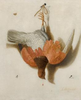 Jacobus Biltius - A Trompe L\'Œil With A Willow Ptarmigan Hanging From A Nail