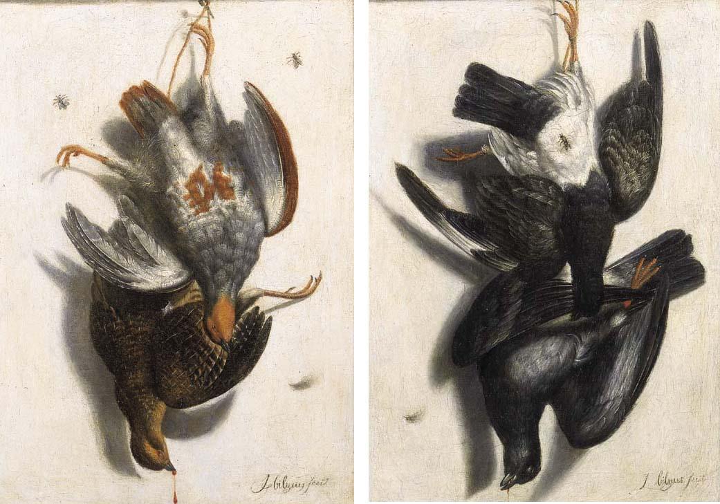 Jacobus Biltius - Trompe-l\'oeils: partridges (Perdix perdix) and pigeons (Columba livia) suspended by ropes attached to nails, with flies on plaster partitions