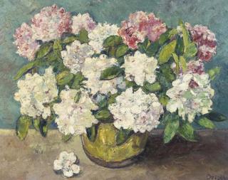 Jacobus Doeser - Hortensia\'s