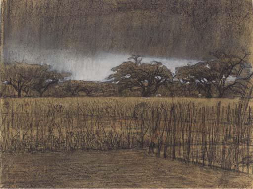 Jacobus Van Looy - Akkers Met Oude Bomen: Clouds Over A Farm Field, Soest